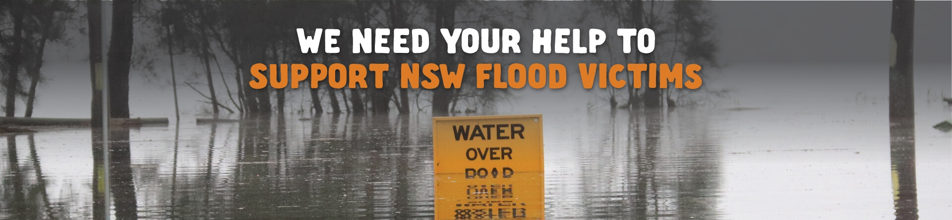 NSW Flood