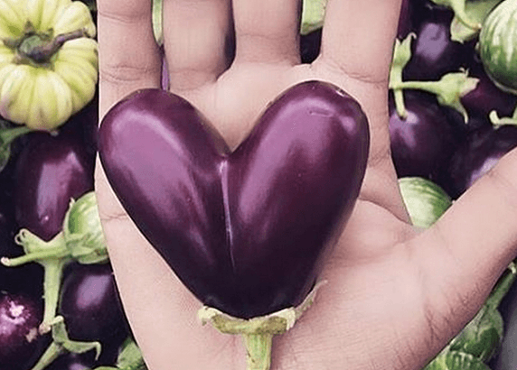eggplant in heart shape