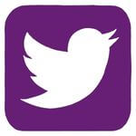 Twitter logo in purple color